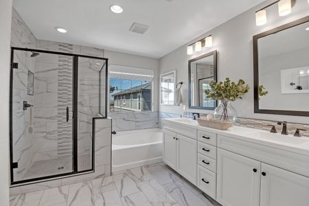 New construction Single-Family house 43230 N Hinoki St, Queen Creek, AZ 85140 Region- photo 38 38