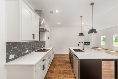 The Reserve at Reidsboro by Trademark Quality Homes in Williamson - image 6