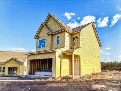 New construction Single-Family house 160 Pinto Ln Se, Fairmount, GA 30139 - image