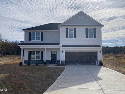 New construction Single-Family house 210 Talton Estates Dr, Pikeville, NC 27863 - image
