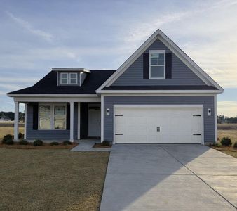 New construction Single-Family house 3039 Gadwall Dr, Unit 48, Aynor, SC 29511 plan Blossom II - image