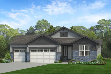 New construction Single-Family house 1751 Zeno St, Brighton, CO 80601 plan Lakewood II - image