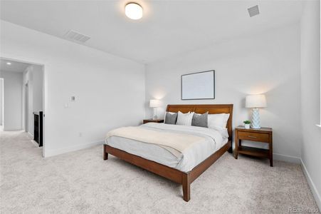 New construction Single-Family house 4888 Noris Ave, Morrison, CO 80465 - image 16