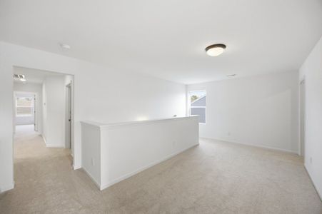 New construction Single-Family house 1012 Toland Dr, St. George, SC 29477 plan The TA3000 - image 10