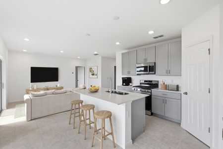 New construction Single-Family house 3186 Windswept Wy, Wildwood, FL 34785 plan Aries - image 4