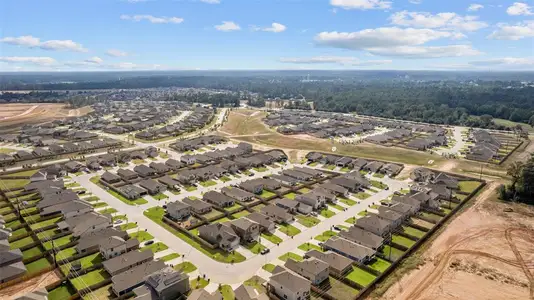 New construction Single-Family house 775 Hackberry Branch Ct, Magnolia, TX 77354 null- photo 5 5