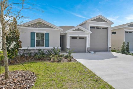 New construction Single-Family house 330 Alexandrite St, Deland, FL 32720 - image