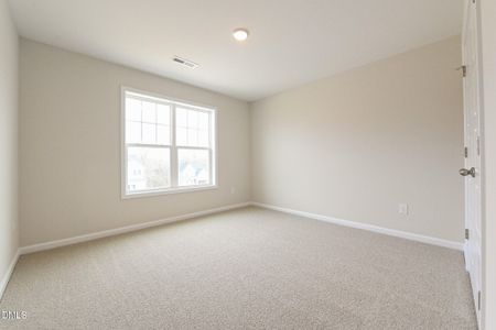 New construction Single-Family house 423 Black Duck Ln, Unit (Lot 100), Lillington, NC 27546 - image 19