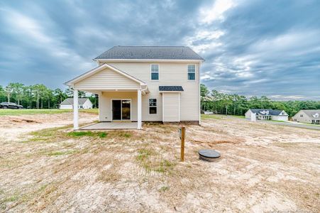 New construction Single-Family house 21 Blackgum Ct, Spring Lake, NC 28390 - image