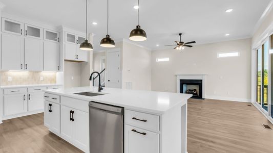New construction Single-Family house 7428 Twill Heights Lp, Fairview, TN 37062 plan Fuller - image 15