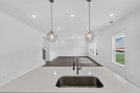 New construction Single-Family house 141 Yuma Ln, White House, TN 37188 plan The Winston - image 12