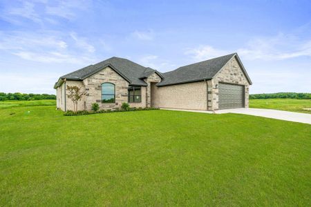 New construction Single-Family house 117 Eagle Ct, Glen Rose, TX 76077 - image