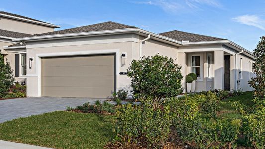 New construction Single-Family house 420 Douglas Hill Dr, Lady Lake, FL 32159 plan Bailey - image