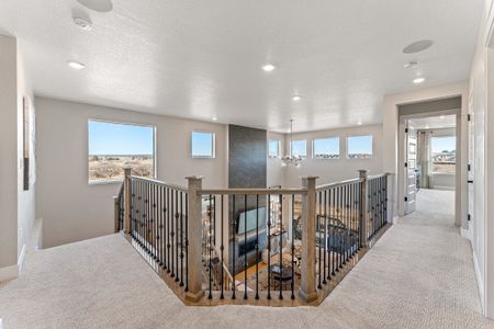 New construction Single-Family house 16975 Black Rose Pl, Parker, CO 80134 null- photo 20 20