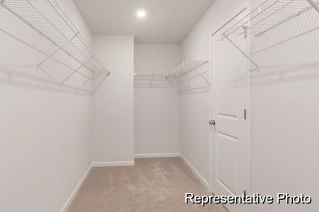 New construction Single-Family house 1027 House Finch Ave, Ravenel, SC 29470 plan The Jasper P - image 17