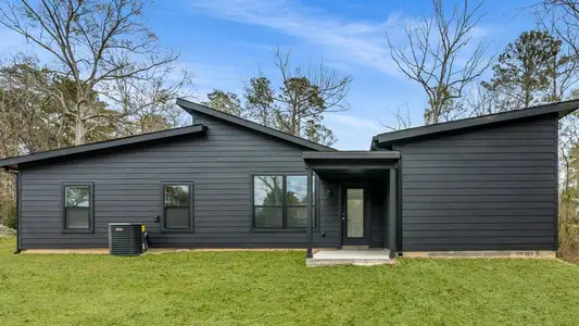 Frontier Lakes by ICONIQ Homes in Willis - image 5