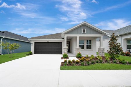 New construction Single-Family house 5024 Chapel Row Ave, Apollo Beach, FL 33572 plan The Arden - image