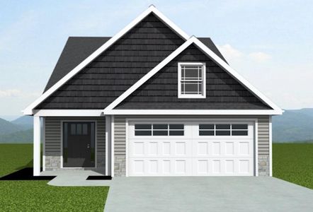 New construction Single-Family house 1365 Kildary Springs Rd, Inman, SC 29349 - image