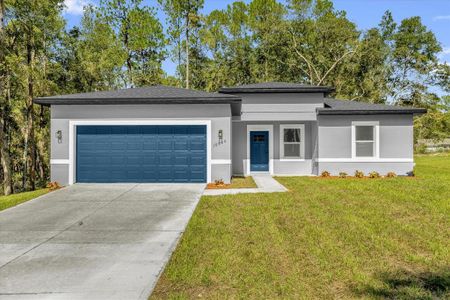 New construction Single-Family house 10860 N Quarry Dr, Citrus Springs, FL 34434 - image