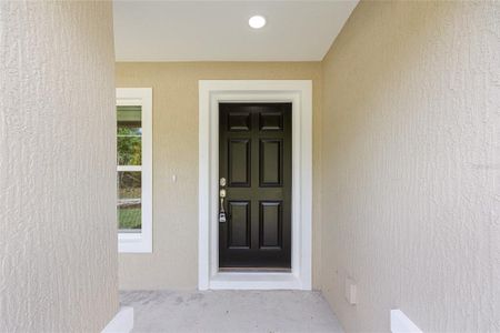 New construction Single-Family house 11300 N Angel Ter, Citrus Springs, FL 34434 - image