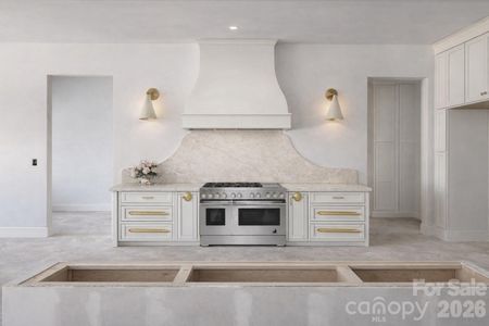 New construction Single-Family house 125 Randstone Ct, Charlotte, NC 28211 - image 7