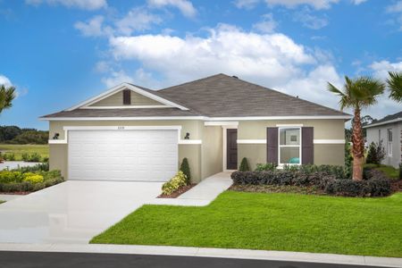 New construction Single-Family house 20303 Lavender Bloom Lp, Mount Dora, FL 32757 null- photo 0