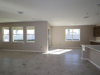 New construction Single-Family house 38326 Tobiano Loop, Dade City, FL 33525 Casanova- photo 96 96