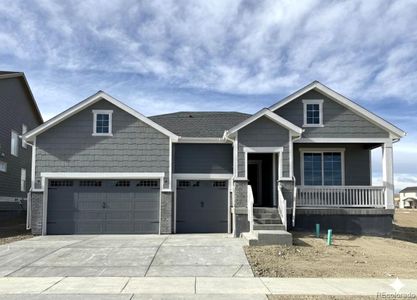 New construction Single-Family house 13817 Daffodil Wy, Parker, CO 80134 - image