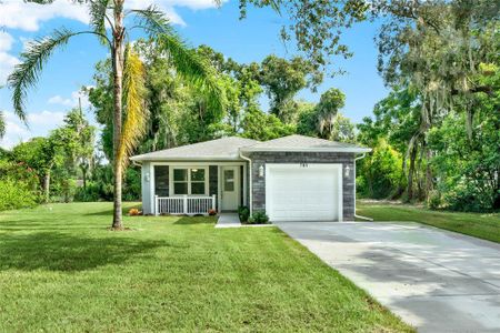 New construction Single-Family house 705 E 12Th Avenue, Mount Dora, FL 32757 - photo 0