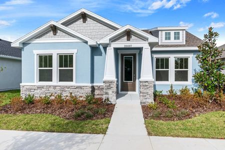 New construction Single-Family house 28778 Orange Berry Dr, Wesley Chapel, FL 33543 null- photo 1 1