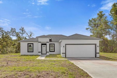 New construction Single-Family house 2396 Sw 147Th Lane Rd, Ocala, FL 34473 null- photo 0