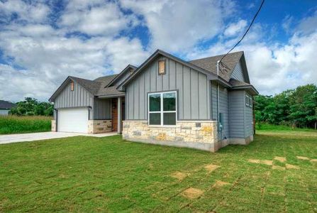 New construction Single-Family house 139 Waimanalo Dr, Bastrop, TX 78602 - image