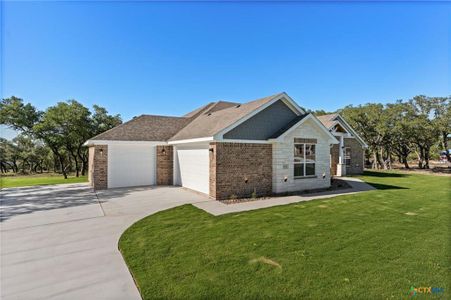 New construction Single-Family house 4237 Cold Springs Rd, Kempner, TX 76539 - image
