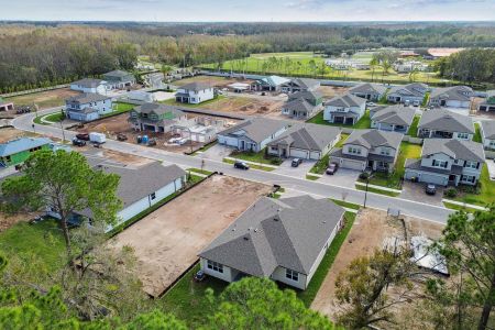 New construction Single-Family house 20219 Oriana Loop, Land O' Lakes, FL 34638 Corina  III- photo 141 141