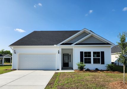 New construction Single-Family house 316 Dunlin Pl, Conway, SC 29526 Gwinnett- photo 0