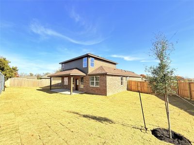 New construction Single-Family house 4779 Allison Dr, Belton, TX 76513 - image 15