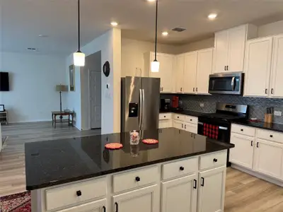 New construction Single-Family house 4805 Mozzafiato Ln, Round Rock, TX 78665 - image 6