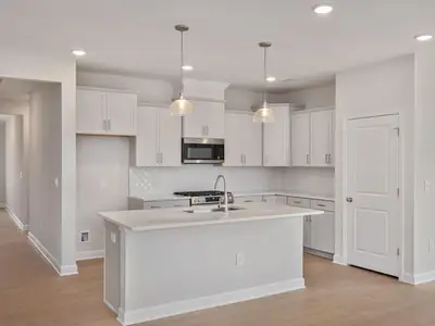 New construction Single-Family house 43 Fellow Dr, Lillington, NC 27546 plan The Daphne C - image 4