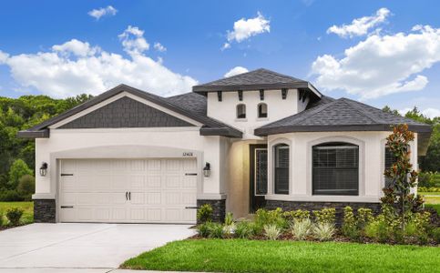 New construction Single-Family house 11328 Weaver Hollow Rd, New Port Richey, FL 34654 plan Salerno - image 3