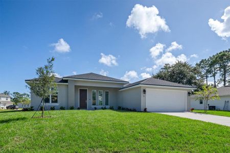 New construction Single-Family house 52 Pershing Ln, Palm Coast, FL 32164 - image