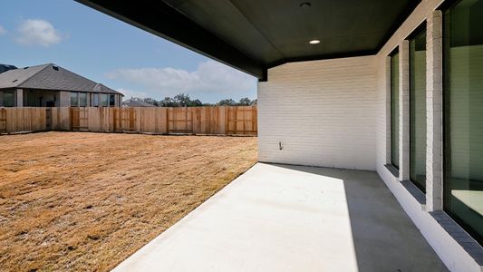 New construction Single-Family house 120 Teakmill Trl, San Marcos, TX 78666 2694W- photo 5 5