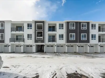 New construction Single-Family house 6153 Ceylon St, Unit 204, Denver, CO 80249 plan Addisyn II - image