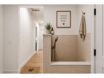 New construction Single-Family house 176 Blue Fortune Dr, Windsor, CO 80550 - image 10