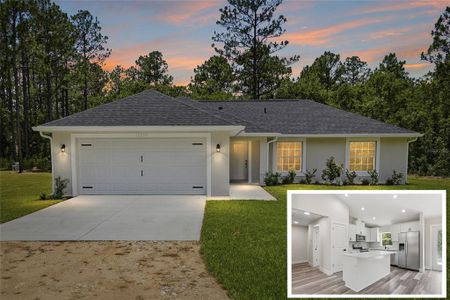 New construction Single-Family house 16335 Force Rd, Weeki Wachee, FL 34614 - image