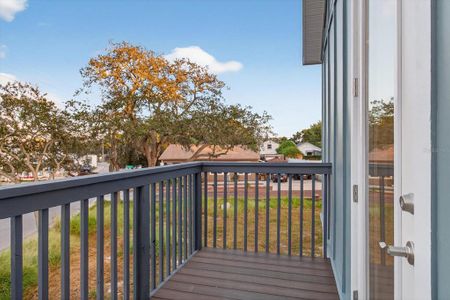 New construction Single-Family house 207 Athens St, Tarpon Springs, FL 34689 - image