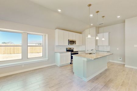 New construction Single-Family house 16243 Sage Cmn, Elmendorf, TX 78112 plan Esparanza - image 6