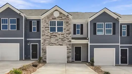 New construction Single-Family house 811 Embark Cir, Greer, SC 29651 plan Newton - image