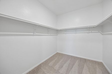 New construction Single-Family house 25252 Leather Leaf Ct, Montgomery, TX 77316 - image 9