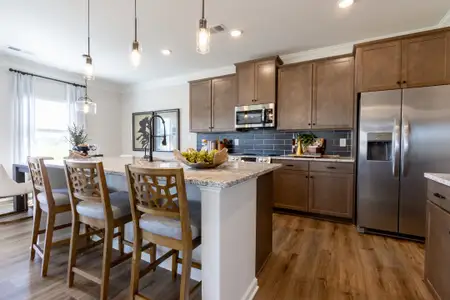 New construction Single-Family house 301 Shantz Wy, Byron, GA 31008 - image