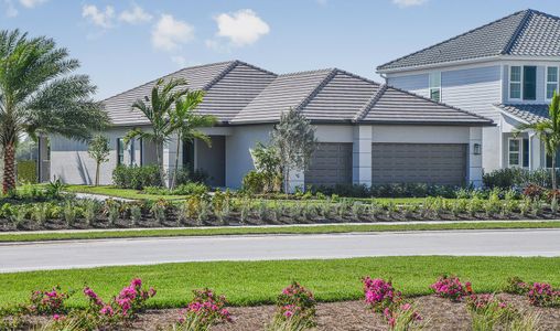 New construction Single-Family house 4056 Skysail Dr, Naples, FL 34120 plan Meadow Brook - image